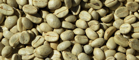 café Kalico Burundais